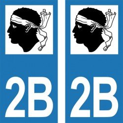 Stickers plaque immatriculation 2B