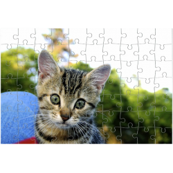 Puzzle personnalisé