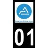 Stickers plaque immatriculation 01